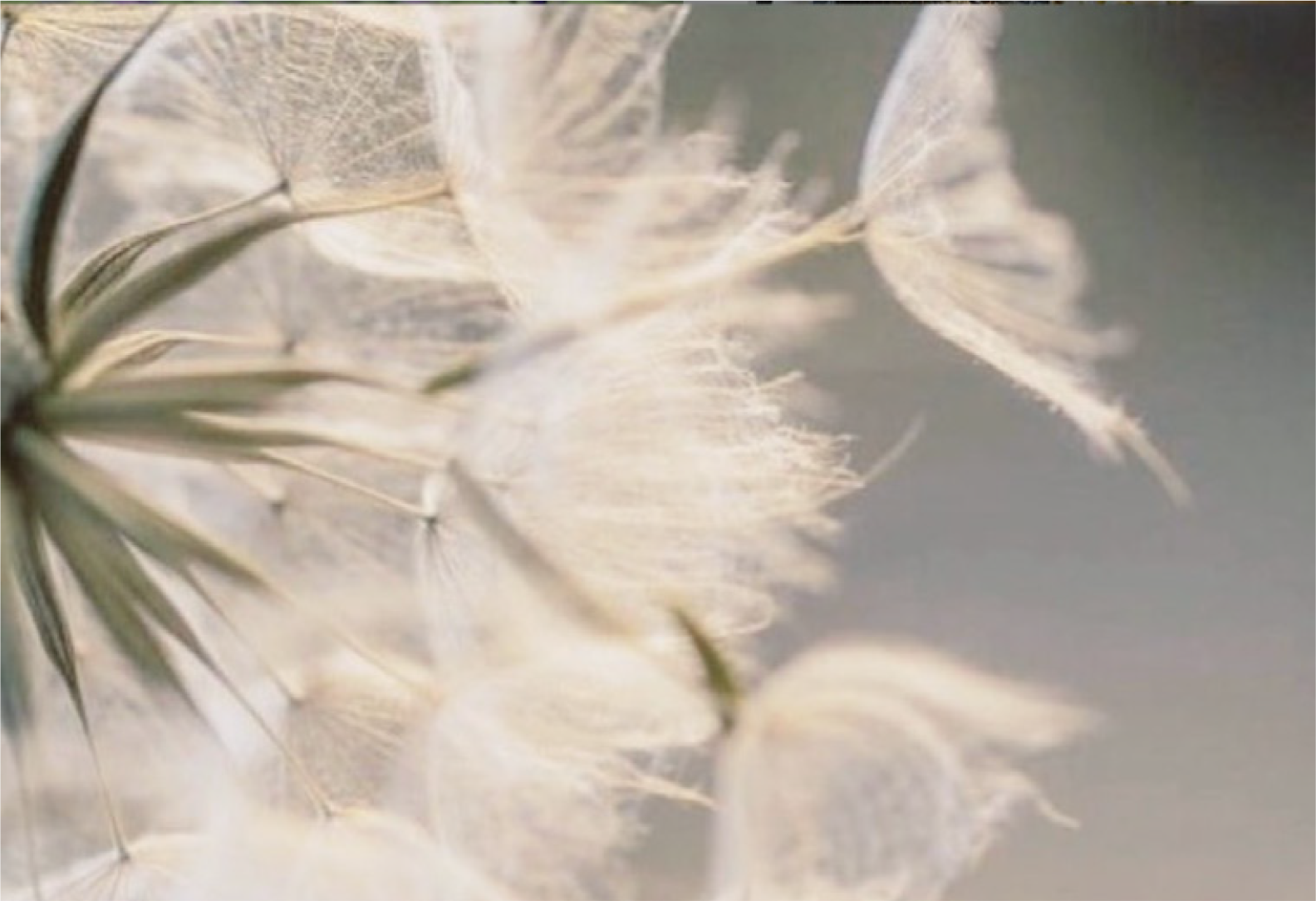 Remember Who You Are