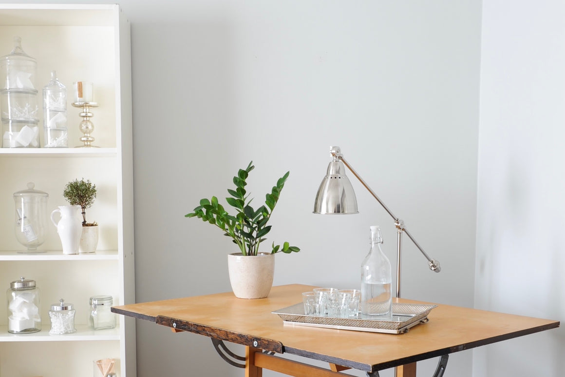 Protect and Prevent 20's