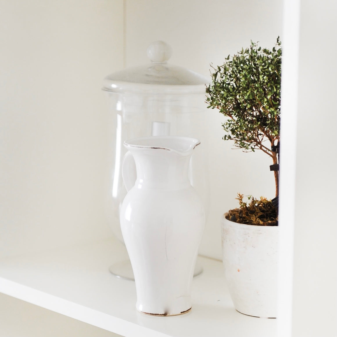 Essentials: Lift and Tone